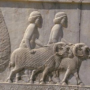 Carved reliefs of rams from Asia Minor on the Apadana
