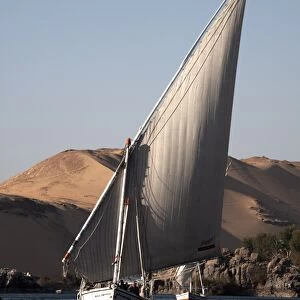 Felucca sailing on the river Nile at Aswan, Egypt, North Africa, Africa