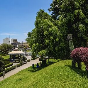 Green Llama in Parque de la Amistad (Friendship Park), Santiago de Surco District