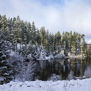 Kielder Water and Forest Park in snow, Northumberland, England, United Kingdom, Europe