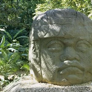 Olmec stone head at Parque-Museo la Venta
