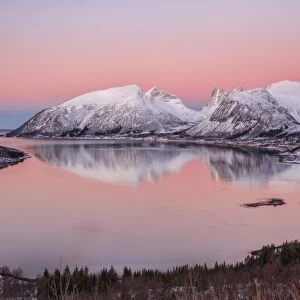 Pink sky at sunrise lights up the snowy peaks reflected in the cold sea, Bergsbotn
