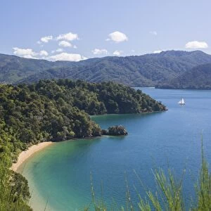 View over Governors Bay and Grove Arm, Queen Charlotte Sound (Marlborough Sounds)