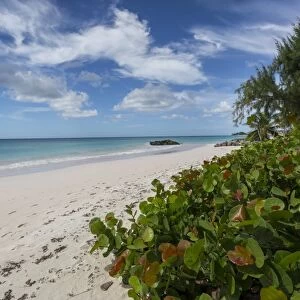 Welches Beach, Oistins, Christ Church, Barbados, West Indies, Caribbean, Central America