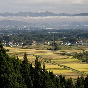 Yonezawa Plain, Yamagata-ken, northern Honshu, Japan