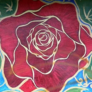 Red rose in full bloom