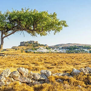 The Acropolis of Lindos viewed through an olive tree, Lindos, Dodecanese Islands, Greece