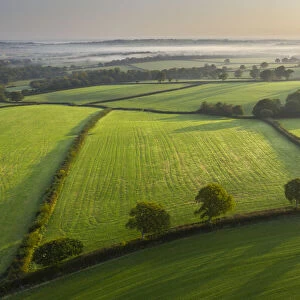 Aerial view of rolling farmland near Spreyton, Devon, England. Autumn (September) 2020