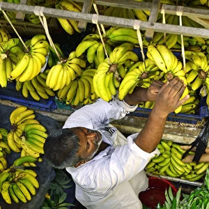 Bananas at the Big Vegetable Market, Port Louis, Mauritius, Indian Ocean