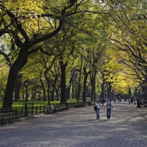A couple walk through Central Park enjoying the autumn colours