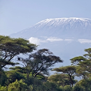 Kenya, Amboseli, Amboseli National Park