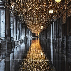 Lights at St Marks Square in December, Venice, Italy