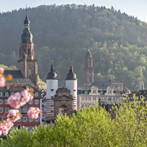 Old Bridge in Heidelberg in spring, Baden-Wurttemberg, Germany