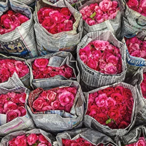 Roses for sale, flower market, nr Chinatown, Bangkok, Thailand
