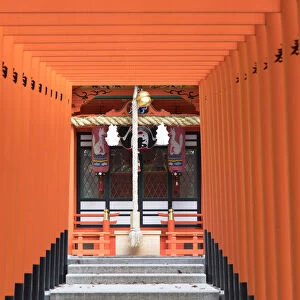 Torii gates at Ichinomiya shrine, Kobe, Kansai, Japan