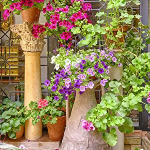 Detail of a traditional Patio of Cordoba, a courtyard full of flowers and freshness. Andalucia, Spain