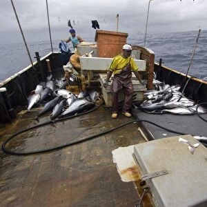 Offshore commercial longline tuna fishing, Brazil, Atlantic Ocean