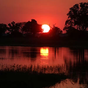The sun sets over the Okavango Delta