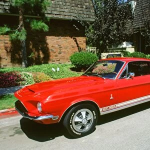 1969 Ford Mustang Shelby