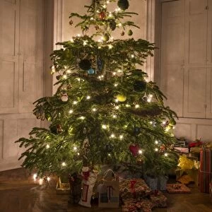 Decorated Christmas Tree, Chipping, Lancashire, England, December