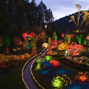 CANADA, British Columbia, Victoria. Christmas Lighting, Butchart Gardens