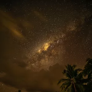 French Polynesia, Taha'a. Palm trees and night sky with Milky Way