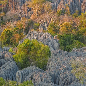 Tsingy de Bemaraha Strict Nature Reserve