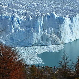 Perito Moreno Glacier, lenga trees in autumn and tourists on walkway, Parque Nacional Los Glaciares