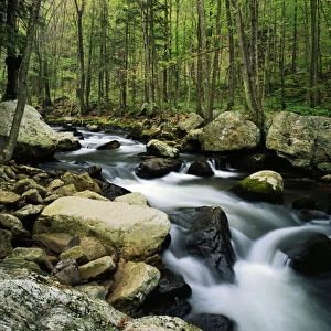 USA, Virginia, Jefferson National Forest, Little Stony Creek