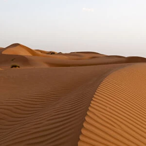 Wahiba Sands desert, Oman