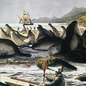 ALEUT HUNTER, 1816. An Aleut hunter wearing a wooden peaked hat, in the Bering Sea. Watercolor, 1816, by Louis Choris