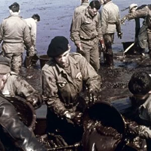 Cleanup efforts on a French beach after an oil spill at sea. Photographed c1970