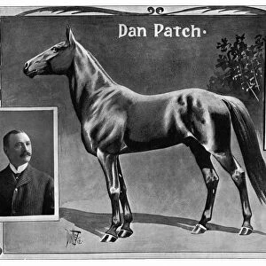 DAN PATCH (1896-1916). Pacer racehorse. Illustration with portraits of his trainer and driver