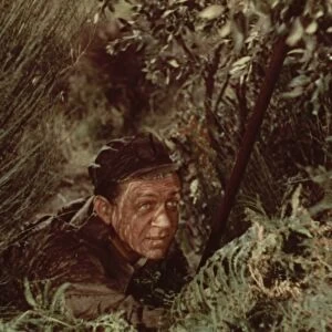 Hawkins in the bushes
