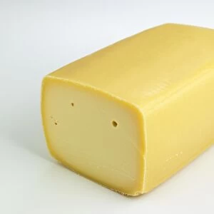 Belgian Postel cheese