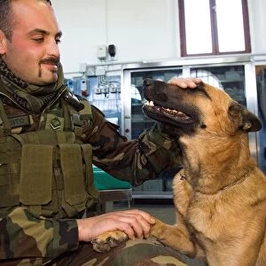 Europe. Italy. Tuscany. Grosseto. Military Veterinary Center. infirmary. the Dog Ty-one with His Tenant Cm Francesco Sardella in the infirmary For a Control