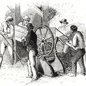 Hand-powered threshing machine by Barrett, Exall & Andrews. These machines were more