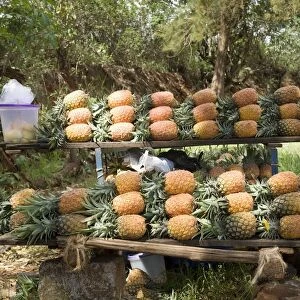 Kenya, near Thika, pineapples for sale on roadside