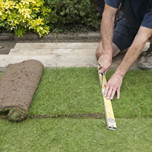 Laying turf, cutting off piece with a knife, close-up