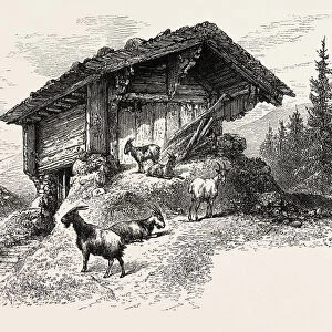Mountain chalet, Switzerland, 19th century engraving