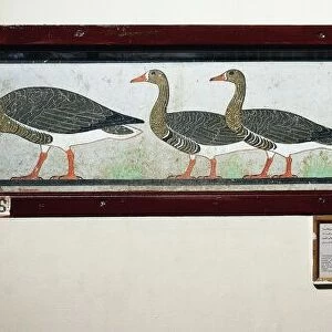 Painting depicting Meidum geese