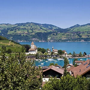 Switzerland, Canton Bern, Spiez, Landscape