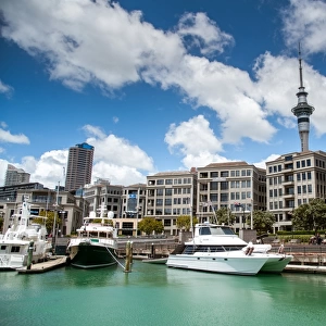 Auckland from the bay