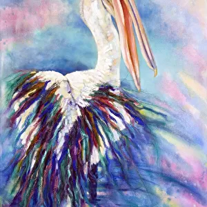 Australian Pelican Painting