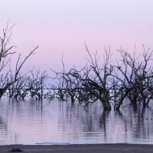 Dusk at Lake Pamamaroo, New South Wales, Australia