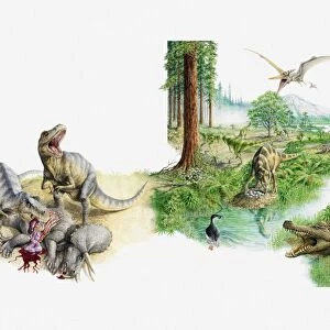 Illustration of prehistoric scene showing various dinosaurs, Tyrannosaursus eating Triceratops