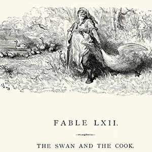 La Fontaines Fables - Swan and the Cook