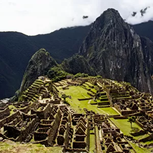 LlaMachu Picchu