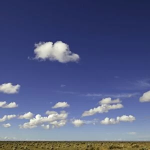 Lofty cumulus clouds, Nullarbor Plain, Australia