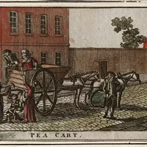 Pea Cart